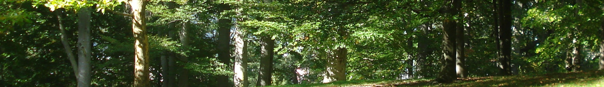 Группа Герои